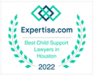 Best Child Support Lawyer in Houston